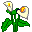 Icon-tulip